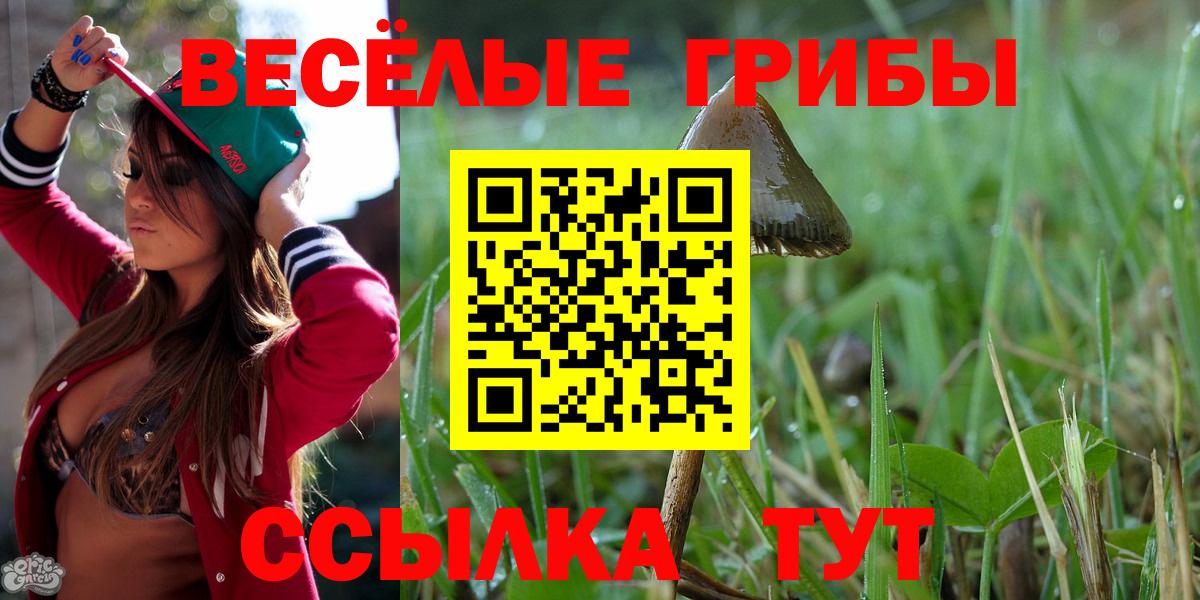 Псилоцибиновые грибы GOLDEN TEACHER  Псилоцибиновые грибы Magic Shrooms  закладка  Вход с VPN  Братск 